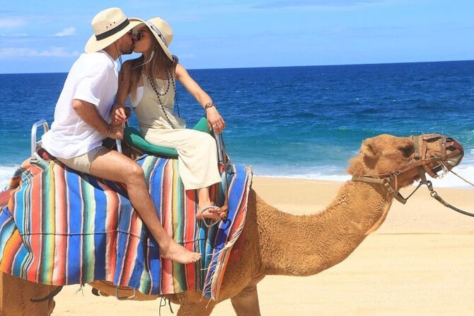 Camel Encounter and Safari Ride with Lunch and Alcohol Tasting - Tequila Museum Tastings: Fun Samples, Not a Full Bar Party
