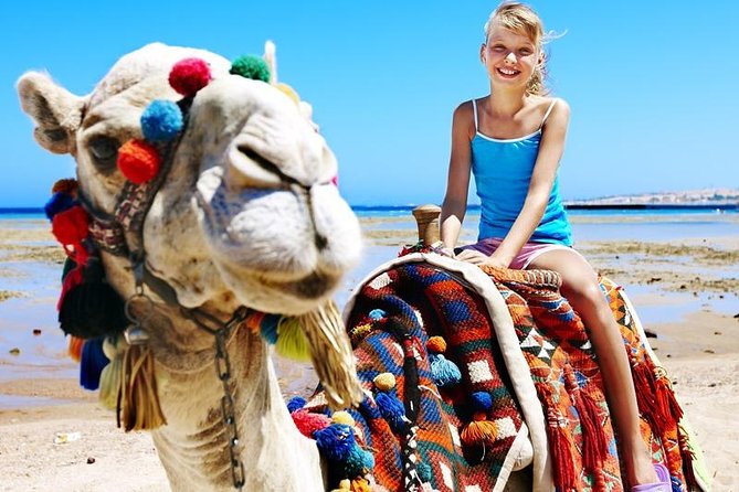 Camel Encounter and Safari Ride with Lunch and Alcohol Tasting - Photos, Phones, and the Real Cost of Keeping Memories