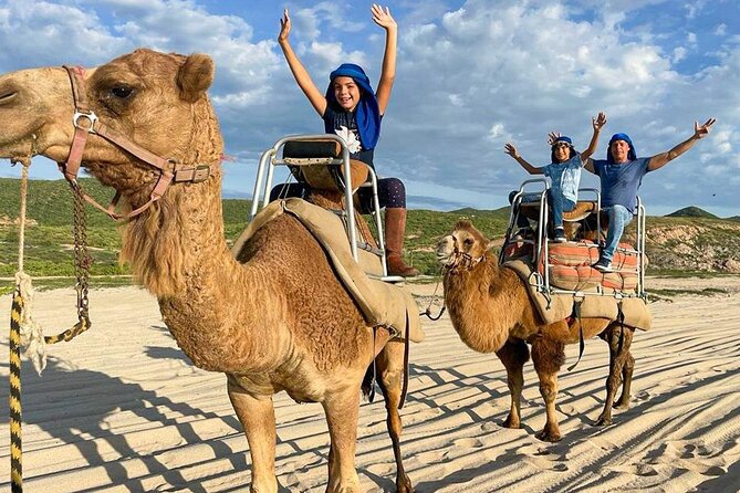 Camel Encounter and Safari Ride with Lunch and Alcohol Tasting - Meeting the Camels Up Close: What You’ll Actually Do
