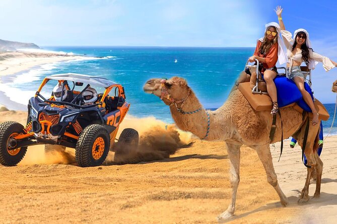 Camel Ride and UTV Combo Adventure, with Tequila Tasting - Key highlights I’d pencil in first