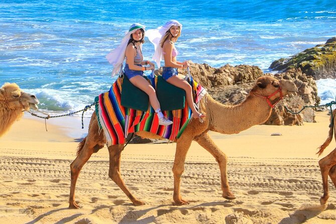 Camel Ride and UTV Combo Adventure, with Tequila Tasting - Camel Ride and UTV combo: why this Cabo mix hits