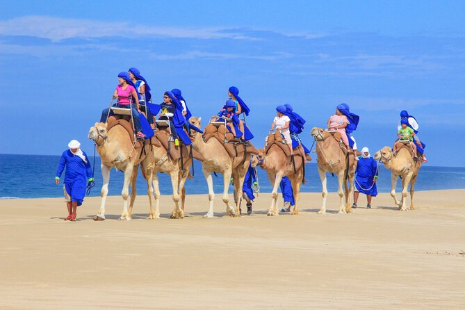 Camel Ride and UTV Combo Adventure, with Tequila Tasting - Baja desert on ATVs/UTVs: where speed meets big views