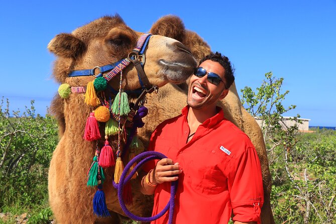 Camel Ride and UTV Combo Adventure, with Tequila Tasting - Sand dunes to ocean cliffs: the photo moment that needs planning
