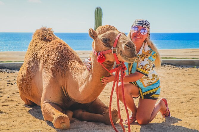 Camel Ride and UTV Combo Adventure, with Tequila Tasting - Price and the extras: the real value math