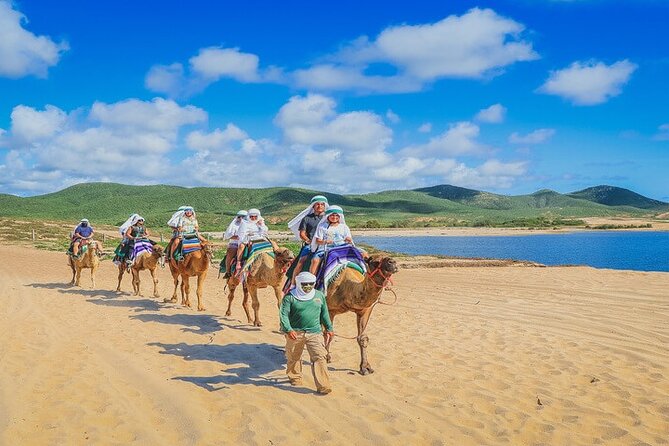 Camel Ride & ATV Combo in Migriño, Mexico - Key things to know before you go