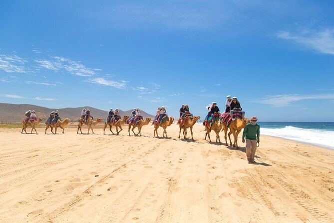 Camel Ride & ATV Combo in Migriño, Mexico - Two rides, one beach day: what the combo actually feels like