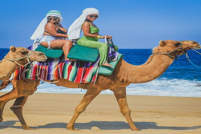 Camel Ride & ATV Combo in Migriño, Mexico - Camel safari: the part people remember