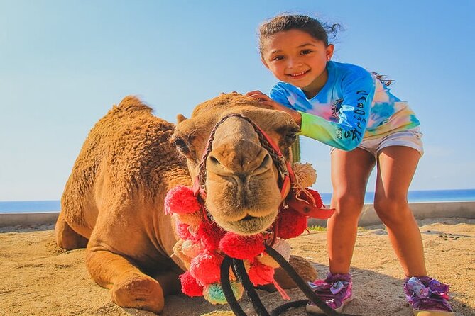 Camel Ride & ATV Combo in Migriño, Mexico - Migriño Beach and the wildlife stop: secluded, film-linked, and photo-friendly