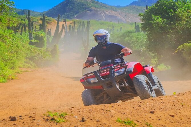 Camel Ride & ATV Combo in Migriño, Mexico - Tequila tasting and small zoo setup: included, but pace matters