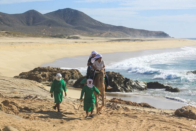 Camel Ride & Encounter at Los Cabos - Pickup, Timing, and How to Avoid Start-of-Day Stress