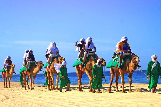 Camel Ride & Encounter at Los Cabos - The Ecological Reserve Hike: Plants That Make This Feel Local