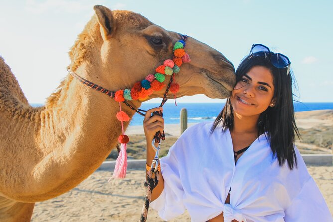 Camel Ride Experience in Los Cabos with Pick up and Lunch - Key Highlights That Matter