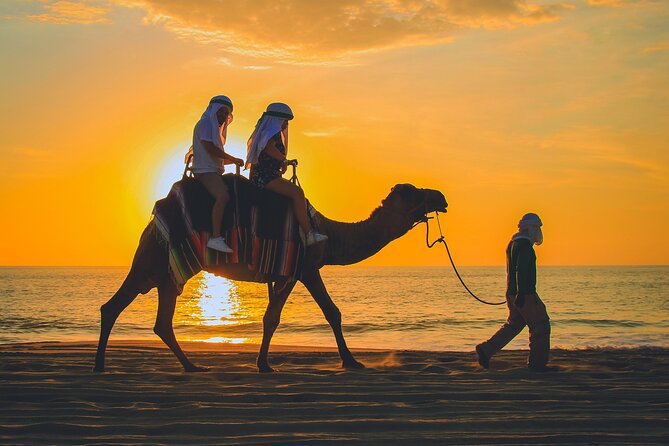 Camel Ride Experience in Los Cabos with Pick up and Lunch - Price and Logistics: What You’re Actually Paying For
