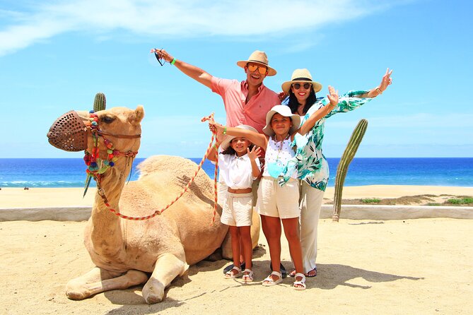 Camel Ride Experience in Los Cabos with Pick up and Lunch - Block 1: Camel Time Before the Ride