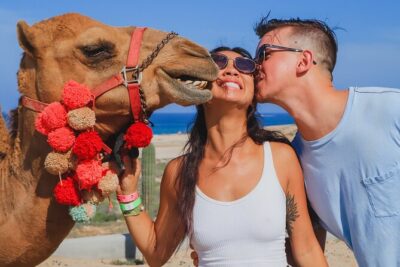 Camel Ride Experience in Los Cabos with Pick up and Lunch - Pickup, Time on the Ground, and the Koyote Tours Flow