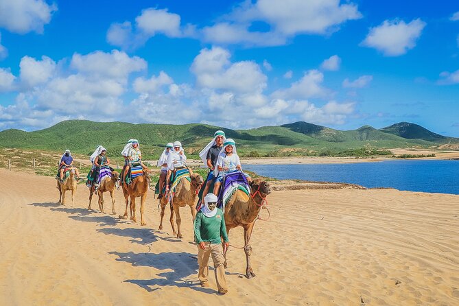Camel Ride Experience in Los Cabos with Pick up and Lunch - Animal Welfare, Ride Length, and Why That’s a Good Thing