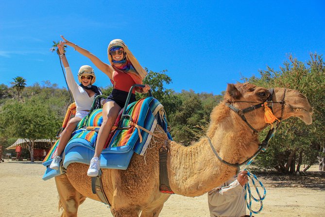 Camel Ride in the Canyon + Thrilling Water-Slides & Snacks - Key things to know before you go