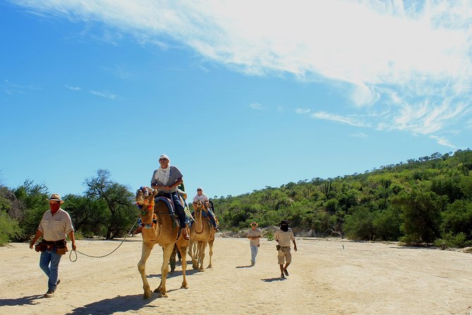 Camel Ride in the Canyon + Thrilling Water-Slides & Snacks - Wild Canyon water park and the add-on activities included with PEF