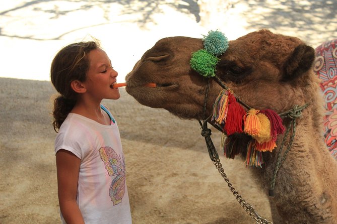 Camel Ride in the Canyon + Thrilling Water-Slides & Snacks - Snacks, drinks, and keeping hydrated in the heat