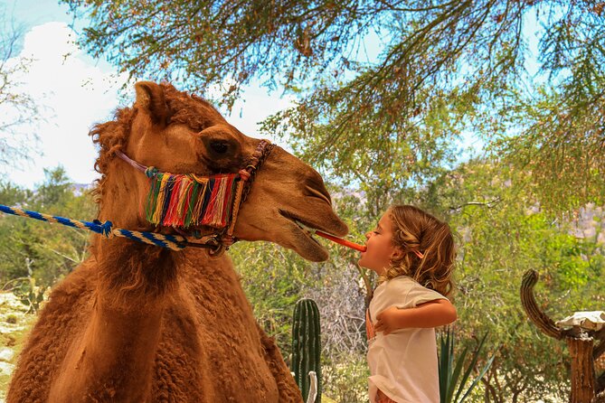 Camel Ride in the Canyon + Thrilling Water-Slides & Snacks - Price and value: $110 is only part of the bill