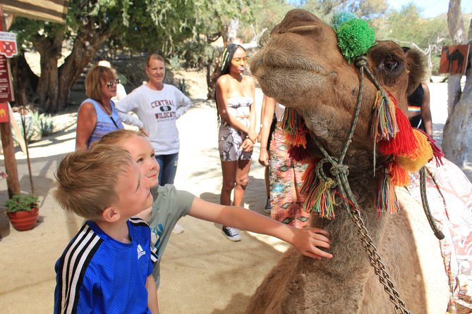 Camel Ride in the Canyon + Thrilling Water-Slides & Snacks - Who should book this camel-and-water combo