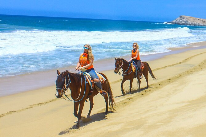 Camel Ride Tour in Los Cabos - Key Highlights Worth Clipping Into Your Plan