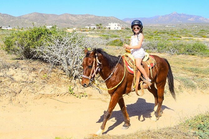 Camel Ride Tour in Los Cabos - Why This Camel Ride Works in Los Cabos