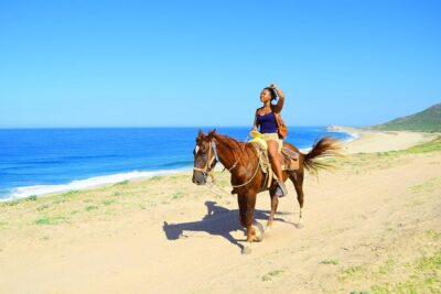 Camel Ride Tour in Los Cabos - Getting From Your Hotel: Pickup Makes It Feel Easy
