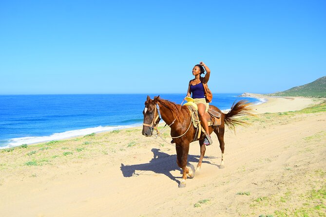 Camel Ride Tour in Los Cabos - Getting From Your Hotel: Pickup Makes It Feel Easy