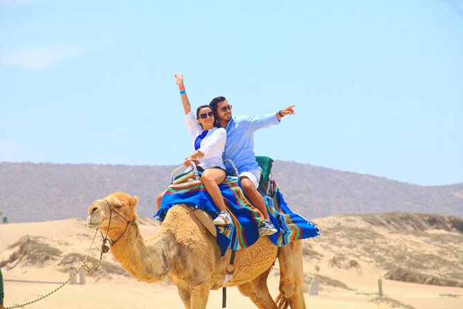 Camel riding experience on the shores of the Pacific Ocean - Key Points Before You Go