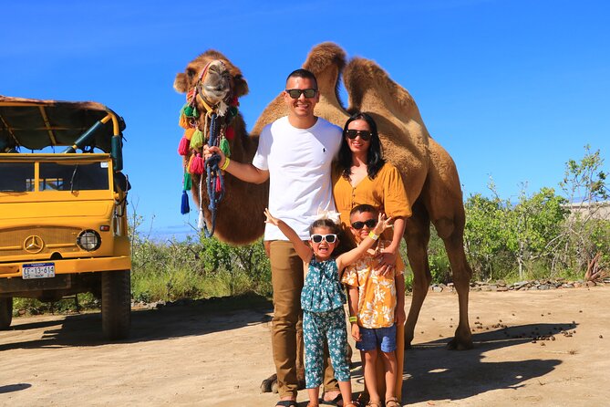 Camel riding experience on the shores of the Pacific Ocean - Safety, Comfort, and How to Get the Most From the Ride