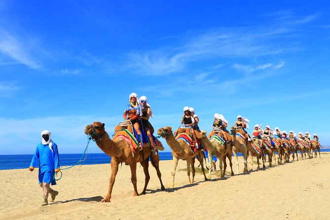 Camel riding experience on the shores of the Pacific Ocean - The Real Value of $98.63: What’s Included, What Costs Extra, and Why