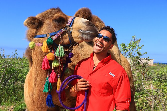 Camel riding experience on the shores of the Pacific Ocean - Pickup and Timing in Cabo San Lucas: How to Fit It Into Your Day