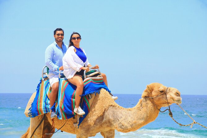 Camel riding experience on the shores of the Pacific Ocean - Group Size: Why a Max of 20 Matters
