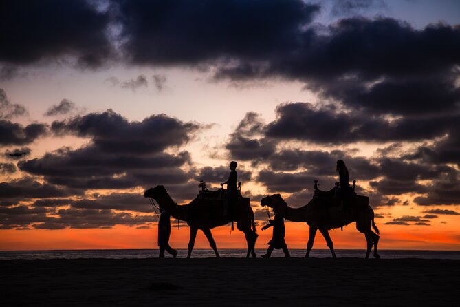 Camel riding experience on the shores of the Pacific Ocean - The Quesadillas and Water Moment After the Ride