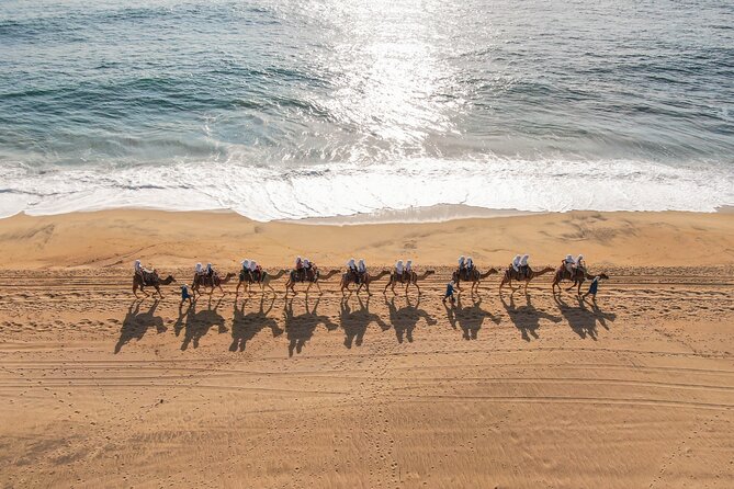 Camel riding experience on the shores of the Pacific Ocean - Guides and the Experience Tone: Learn Their Names