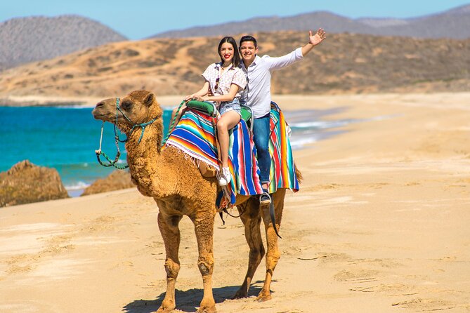 Camel riding experience on the shores of the Pacific Ocean - The 20-Minute Pacific Ride: Dunes, Desert Plants, and Big Views