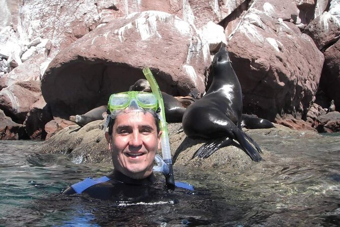 City Tour Cabo San Lucas and San Jose del Cabo - Land’s End in a glass-bottom boat: the Arch plus rock names you’ll remember