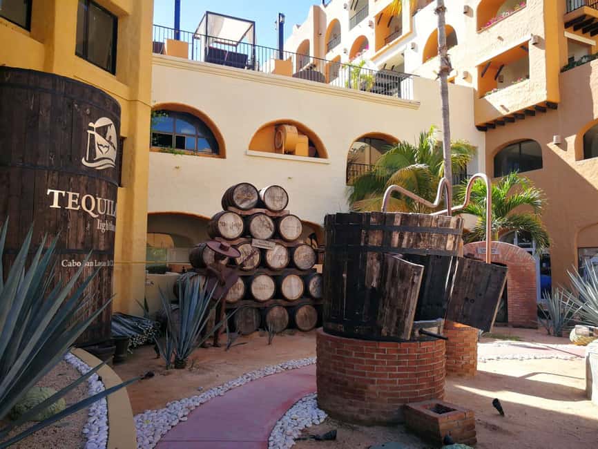 City Tour to Cabo San Lucas and Transparent boat to the Arch - Hotel Pickup in Cabo and San José del Cabo: How the Day Starts