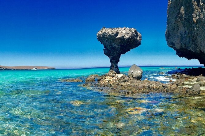 CityTour La Paz, Balandra beach and the Magic Town of Todos Santos - Balandra Beach and The Mushroom: The Best Reason to Go