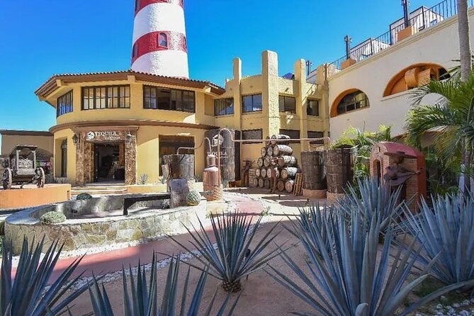 CityTour to San Jose, Cabo San Lucas and Arch Tour in Clearboat - Key points before you go