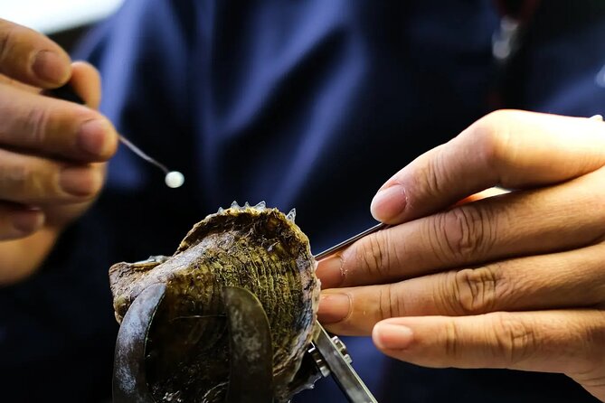 CityTour to San Jose, Cabo San Lucas and Arch Tour in Clearboat - The Chocolate Factory Stop: Short, Included, and Time-Limited