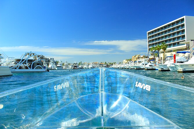 Clear Boat to Cabo Lands End, The Arch and more - Group size, pace, and what “guided” means here