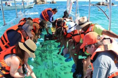 Clear Boat with City Tour - Pickup and timing: how the 4-hour plan actually plays out