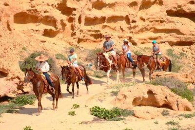 Combined ATV and Horseback Ride/Tequila Tasting - San José del Cabo Stop: A Simple Hour That Helps the Day Flow