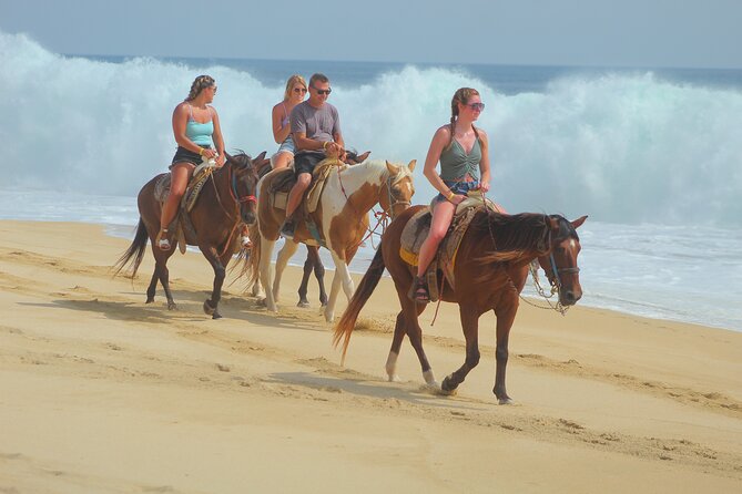 Combined ATV and Horseback Ride/Tequila Tasting - Price and Value: Is $179.33 a Fair Deal?