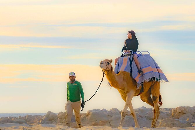 Combo 4x4 Automatic ATV and Camel Ride Tour in Cabo San Lucas - Camel Encounter at Playa Migriño: Beach Time, Whale Season, and Sunset Magic