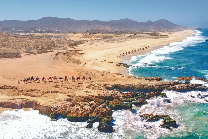 Combo 4x4 Automatic ATV and Camel Ride Tour in Cabo San Lucas - Price and Extra Fees: What $175 Really Becomes