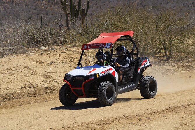 Combo Adventure with RZR and ATV or HBR and Tequila Tasting - Horse Riding Details: Beach Time, Comfort Questions, and Guide Style