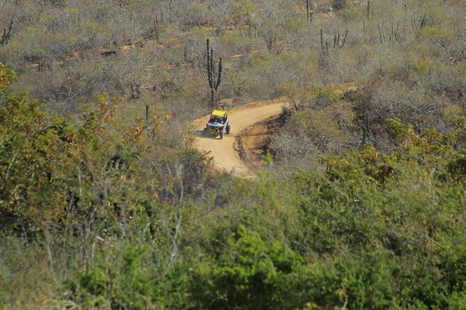 Combo Adventure with RZR and ATV or HBR and Tequila Tasting - Tequila Tasting: Included Samples and the Bottle Pitch
